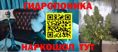 ГАЛЛЮЦИНОГЕННЫЕ ГРИБЫ Сланцы