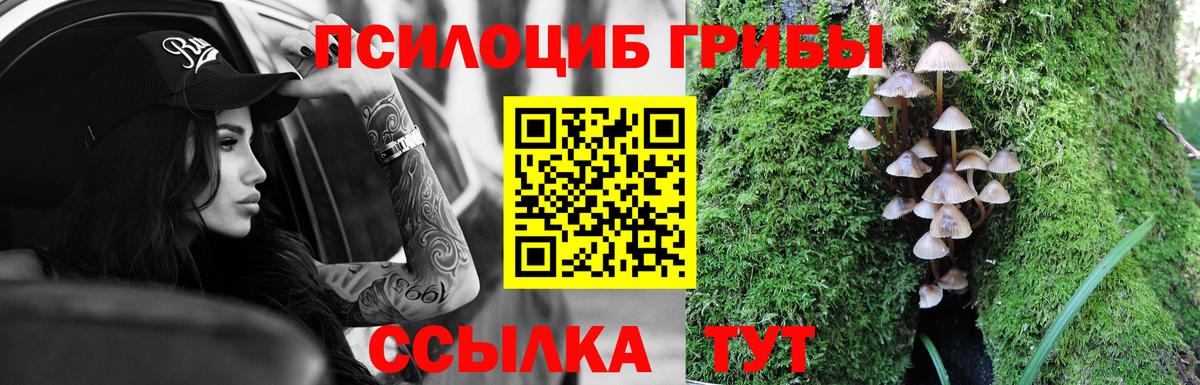 Норильск  Галлюциногенные грибы GOLDEN TEACHER  Вход с VPN 